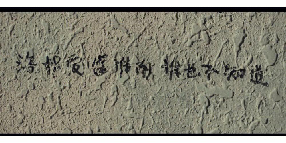 橘生淮南为橘,橘生淮北为枳—变味的协和医学院4+4医学人才培养模式